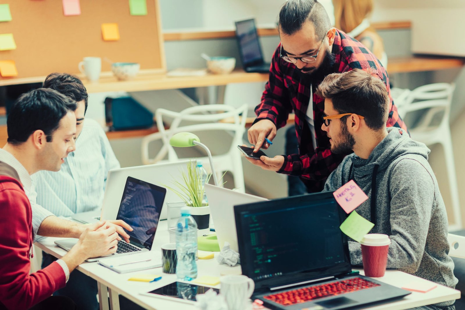 Startup Incubation Services